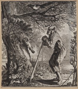 Der schwatzhafte Narr von Wilhelm Stettler
