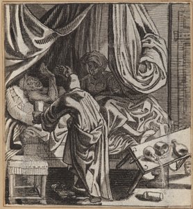 Der Narr, der guten Rat verschmäht von Wilhelm Stettler