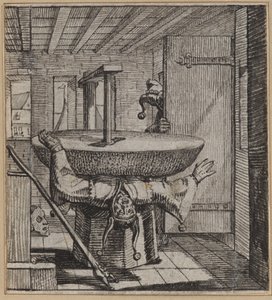 Der nachlässige Narr von Wilhelm Stettler
