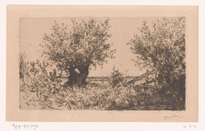 Landschaft mit Weide, Kopfweiden und Zaun (Wilgen (Kaag))