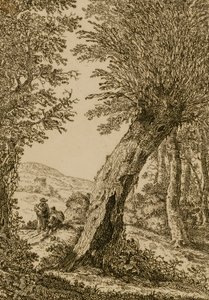 Landschaft mit Weide von Willem Bemmel