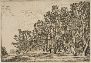 Landschaft mit Plankenhecken und Mann mit Holz