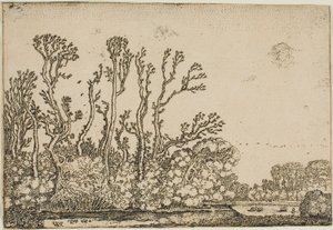 Landschaft mit Bäumen, Teich und Schafen