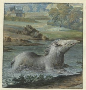 Tapir im Wasser von Willem Hendrik Wilhelmus van Royen