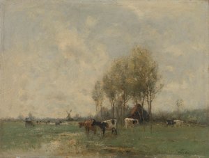 Wiese mit Kühen