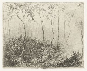 Waldlandschaft von Willem Matthias Jan van Dielen
