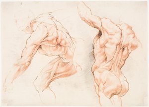 Zwei anatomische Studien eines Mannes, der sich nach links lehnt, und eines anderen von hinten mit erhobenem Arm (Écorché) von Willem Panneels