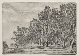 Das Set der Landschaften: Zwei Planken-Hecken
