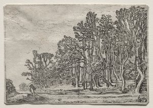 Das Set der Landschaften: Zwei Planken-Hecken, 1616 von Willem Pietersz Buytewech