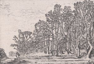 Zwei Plankenhecken, aus Verscheyden Landtschapjes Verschiedene kleine Landschaften, Platte 6,..., ca. 1616.