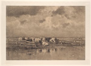 Melkbocht an der Schie