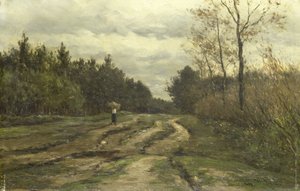 Landstraße bei Laren (Provinz Nordholland)