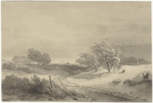 Dünenlandschaft bei trübem Wetter von Willem Roelofs (I)