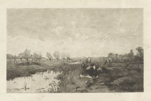 Polderlandschaft mit Kühen