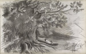 Landschaft mit einem großen Baum in Rhenen von Willem Arnoldus Witsen