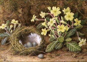 Stillleben mit Eiern im Nest und Primeln von William B. Hough