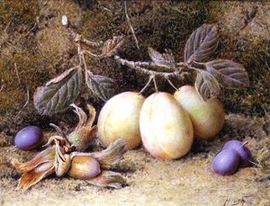 Stillleben mit Pflaumen und Nüssen von William B. Hough