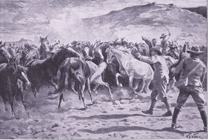 Die Gefangennahme der Pferde im Brandwater-Distrikt bei Fouriesburg: Einfangen der Herde, Illustration aus After Pretoria: The Guerilla War, 1902