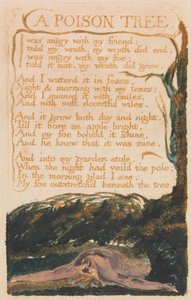 Lieder der Unschuld und der Erfahrung, Platte 41, "Ein Giftbaum" (Bentley 49) von William Blake