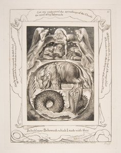 Behemoth und Leviathan, aus Illustrationen des Buches Hiob, 1825-26 von William Blake