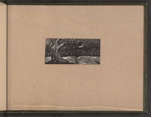 Zerstörter Baum und plattgedrückte Ernte