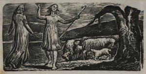 Colinet geht traurig: Gespaltener Stamm rechts, aus Die Hirtengedichte von Virgil
