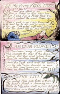 My Pretty Rose Tree; Ah! Sunflower; The Lilly: Tafel 44 aus 