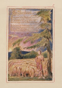 Der Hirte: Platte 5 aus Songs of Innocence and of Experience (Kopie AA) ca. 1815-26