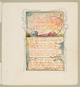 Lieder der Unschuld und der Erfahrung: Mein hübscher Rosenbaum, Ach! Sonnenblume, Die Lilie, ca. 1825