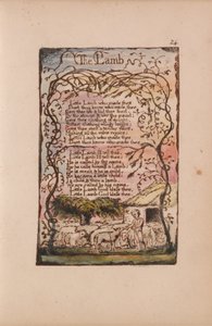 Lieder der Unschuld und der Erfahrung, Tafel 24, Das Lamm (Bentley 8)