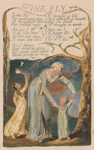 Lieder der Unschuld und der Erfahrung, Platte 48, "Die Fliege" (Bentley 40) von William Blake