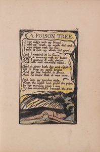 Lieder der Unschuld und der Erfahrung, Tafel 50, Ein Giftbaum (Bentley 49) von William Blake