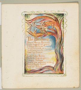 Lieder der Unschuld und der Erfahrung: Die Blüte: Fröhlicher, fröhlicher Spatz, ca. 1825