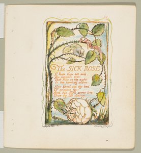 Lieder der Unschuld und Erfahrung: Die kranke Rose, ca. 1825