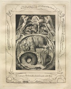 Das Buch Hiob: Pl. 15, Siehe nun Behemoth, den ich mit dir gemacht habe von William Blake