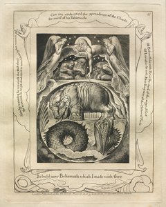 Das Buch Hiob: Pl. 15, Siehe nun Behemoth, den ich mit dir gemacht habe, 1825 von William Blake