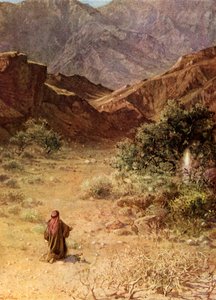 Moses und der brennende Dornbusch - Bibel