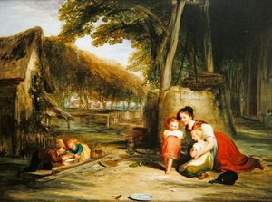 Der wagemutige Rotkehlchen von William Collins