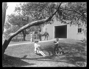 Kinder der Familie McCready mit einem Hund und einem Welpen, die sich um eine Seilschaukel vor einer Scheune versammeln, ca. 1913