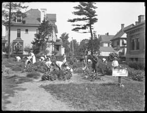 Kinder arbeiten im Garten der Poppenhusen-Filiale der Queens Borough Public Library, 14. August 1915