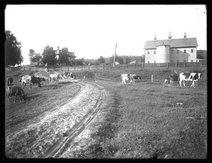 Die McCready-Farm-Scheune und das Thomas-Wohnhaus, Pennsylvania, ca. 1913