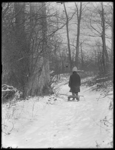 William Gray Hassler zieht seinen Schlitten durch verschneite Wälder, ca. 1912
