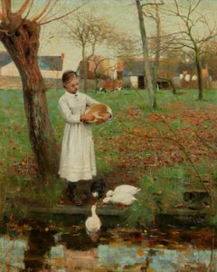 Die Enten füttern