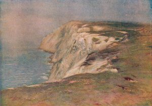 Der Rand eines edlen Abhangs von William Eyre Walker