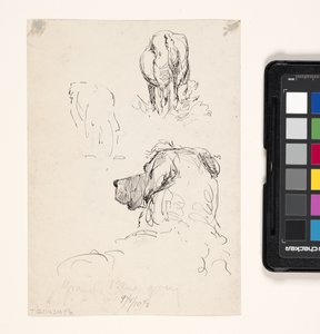 Hund (Recto), Hund und Kuh (Verso)