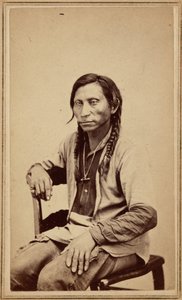 Grauer Wolf von William Gunnison Chamberlain