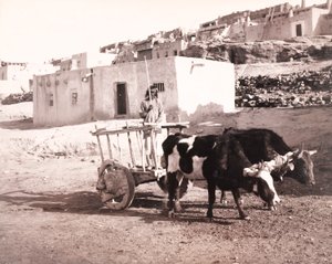 Der alte Carreta, Laguna, New Mexico von William H. Jackson