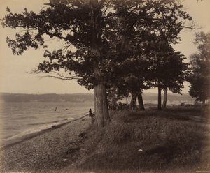 Cayuga-See, Sheldrake von William H. Rau