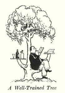 Ein gut trainierter Baum von William Heath Robinson