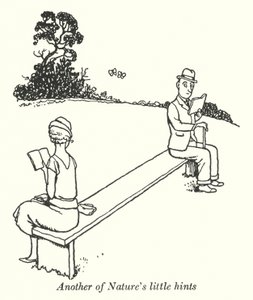 Ein weiterer kleiner Hinweis der Natur (Litho) von William Heath Robinson